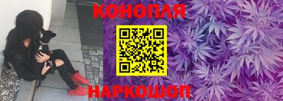 прущие грибы Жуковский