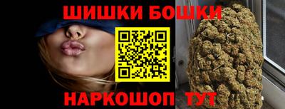 индика Заволжье