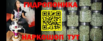 прущие грибы Жуковский